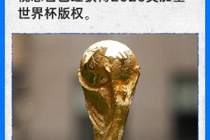 赵宇:世界杯版权买的话肯定是两届,至于价格可以参考前两届配图